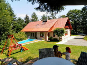 Гостиница Penzion Bor  Наход